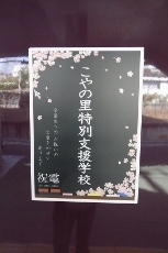 RIMG1119 (153x230).jpg