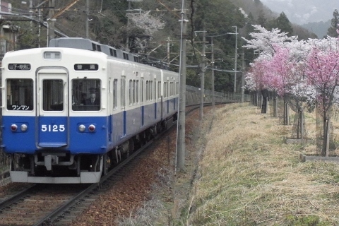 RIMG1136 (480x320).jpg