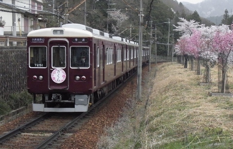 RIMG1140 (480x308).jpg