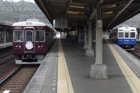 RIMG1141 (480x320).jpg