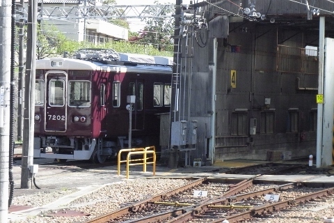 RIMG1148 (480x320).jpg
