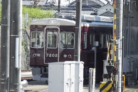 RIMG1151 (480x320).jpg