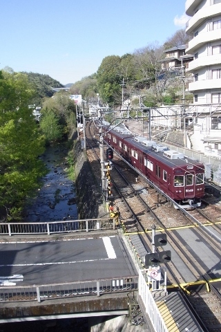 RIMG1166 (320x480).jpg