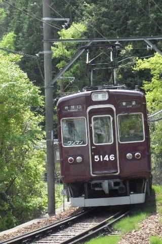 RIMG1186 (320x480).jpg