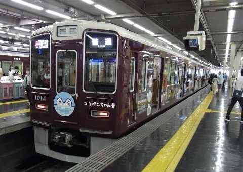 RIMG1218 (480x340).jpg
