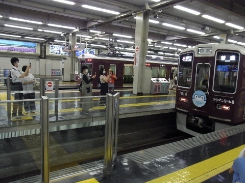 RIMG1225 (480x360).jpg