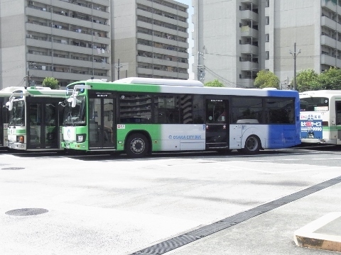 RIMG1238 (480x360).jpg