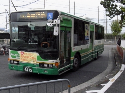 RIMG1312 (480x355).jpg