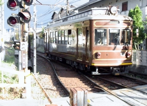 RIMG1329 (480x345).jpg