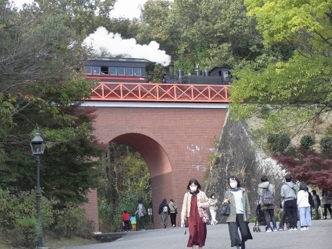 RIMG1371 (480x360).jpg