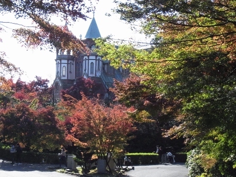 RIMG1375 (480x360).jpg