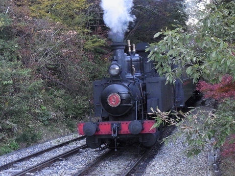 RIMG1386 (480x360).jpg