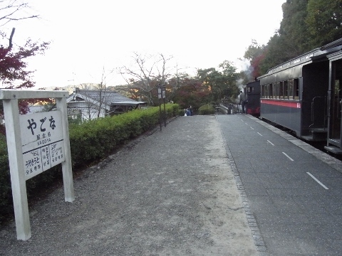 RIMG1387 (480x360).jpg