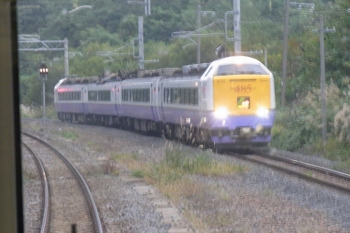 ao05.jpg