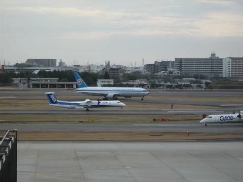 mohikan01.JPG