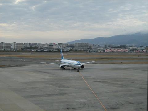 mohikan02.JPG
