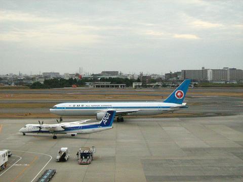 mohikan08.JPG