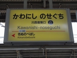 nose01 (250x188).jpg